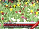 Lale festivali  online video izle