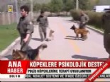 polis kopegi - Köpeklere psikolojik destek  Videosu