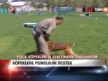 polis kopegi - Köpeklere psikolojik destek  Videosu