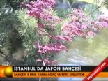 İstanbul'da japon bahçesi 