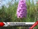 ege bolgesi - Doğa rengarenk  Videosu