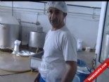 hayvancilik - Peynir Üreticisine Şok Baskın  Videosu