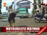 hindistan - Motosikletli maymun  Videosu