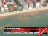 marmara denizi - Ölüdürücü ''red tide''  Videosu