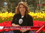 istanbul lale festivali - Lale Festivali başladı  Videosu