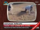 nijerya - Koyunun intikamı  Videosu