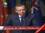 Erdoğan BM Orman Forumu'nda  online video izle