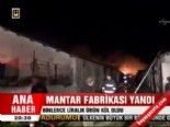mantar fabrikasi - Mantar fabrikası yandı  Videosu