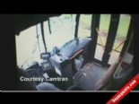 arac ici kamera - Geyik Otobüsten İçeri Daldı Videosu