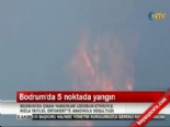 Bodrum'da Alevler Villalara Dayandı 