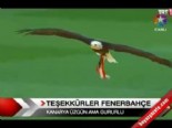 uefa avrupa ligi - Teşekkürler Fenerbahçe! Videosu