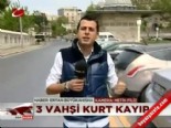 karakoy - Karaköy'ü kurtlar bastı  Videosu