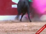 matador - Matador Ölümden Döndü Videosu