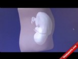 Bebeğinizi 3D Yöntemiyle İzleyin