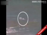 kopek baligi - Köpek Balığı Saldırdı Deniz Kırmızıya Boyandı Videosu