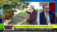Adnan Aybaba inekle Türk futbolunu konuştu  Videosu