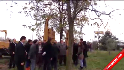 agac kesimi - Kocaeli'ndeki ağaçlar taşınacak  Videosu