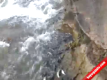 van golu - İnci Kefali Balığının Muhteşem Göçü  Videosu