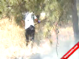 ataturk orman ciftligi - Atatürk Orman Çiftliği'nde Yangın  Videosu