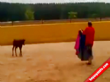 matador - Matadoru Yerle Bir Eden Yavru Boğa Videosu