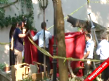 İstanbul'da ağaç dehşeti: 2 ölü