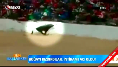 Kızgın Boğa Seyircilerin Arasına Daldı 