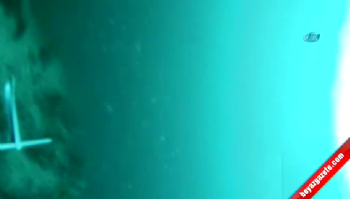 canakkale bogazi - Zıpkınla Dev Balığı İşte Böyle Yakaladı  Videosu