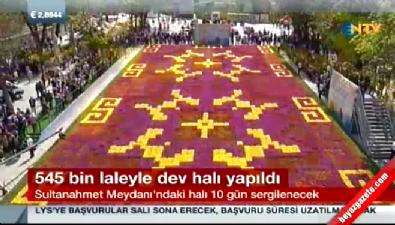 istanbul lale festivali - 545 bin laleyle dev halı yapıldı  Videosu