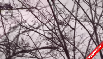 Boğaziçi Üniversitesi'nde bomba paniği 