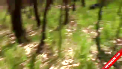 diyarbakir - Hani, Çınar ve Mermer saldırılarının failleri öldürüldü  Videosu