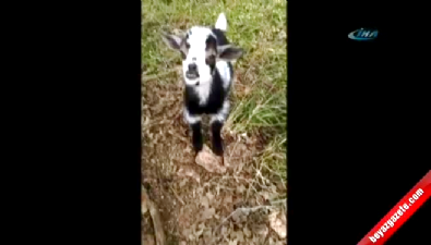 Gülümse çekiyoruz 