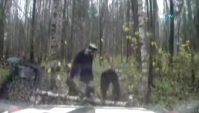 rusya - Ağacın intikamı!  Videosu