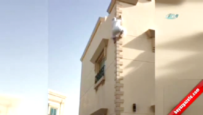 orumcek adam - Örümcek Adamın Birleşik Arap Emirlikleri şubesi  Videosu
