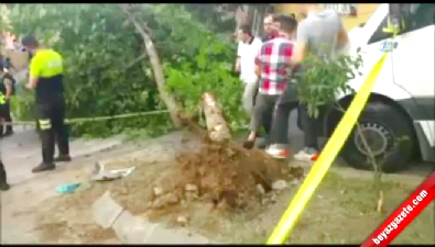 Yolcu minibüsü devrildi