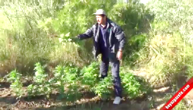 diyarbakir - Diyarbakır'da 450 polisle uyuşturucu operasyonu Videosu