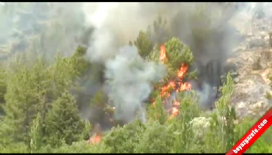 Kumluca'da Orman Yangını Videosu