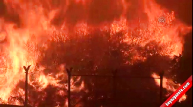 İzmir'deki yangın zor kontrol altına alındı 