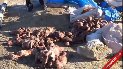 500 kuzusu ölü doğan adam yardım bekliyor  Videosu