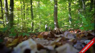 Domaniç Dağları sonbaharın renklerine büründü  Videosu