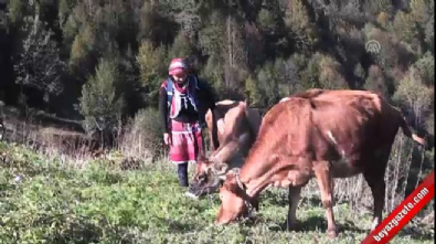 hayvancilik - Türkiye'nin 'Heidi'sinin hayali veteriner olmak  Videosu