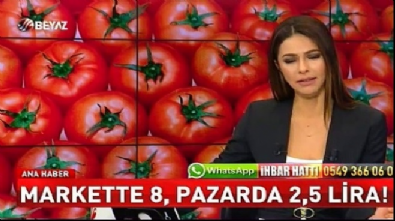 domates fiyati - Domates fiyatları marketlerde uçtu Videosu