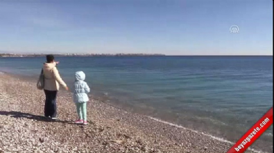 Konyaaltı Plajı'nda 'Akdeniz Foku' heyecanı 
