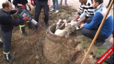 'Öyle kurtarılmaz' diyerek itfaiye erine saldırdı 