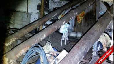 Siirt'te aşırı yağışlar sonucu ev çöktü 