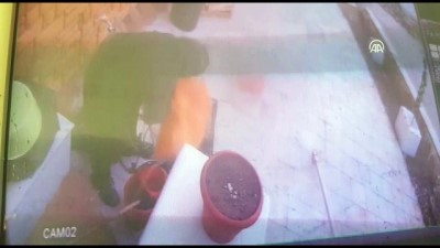 hirsiz - İş yerinden hırsızlık kamerada -  DENİZLİ Videosu