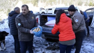 Yaban hayvanlarına yem desteği - GÜMÜŞHANE