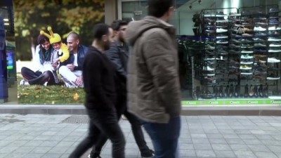 hayvan - 'Maviş' ve 'Zeytin' ilçe esnafının ilgi odağı oldu - KOCAELİ  Videosu