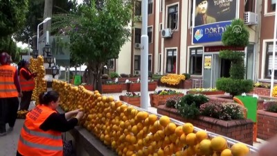 sivil toplum kurulusu - Festival süslemeleri için 30 ton narenciye kullanıldı - HATAY Videosu