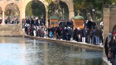 universite ogrencisi - 'Pastırma yazı' etkili oluyor - ŞANLIURFA Videosu