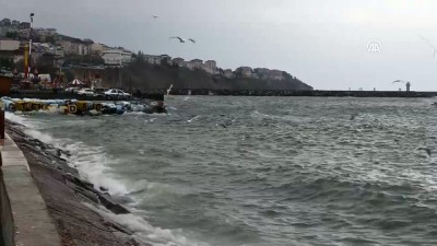 deniz ulasimi - Marmara Denizi'nde ulaşıma lodos engeli - TEKİRDAĞ  Videosu